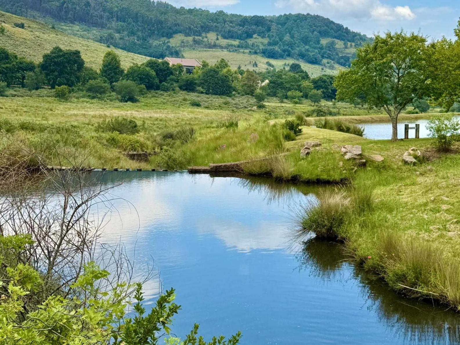 Stone Creek Mountain Lodge 德尔斯特鲁姆 外观 照片