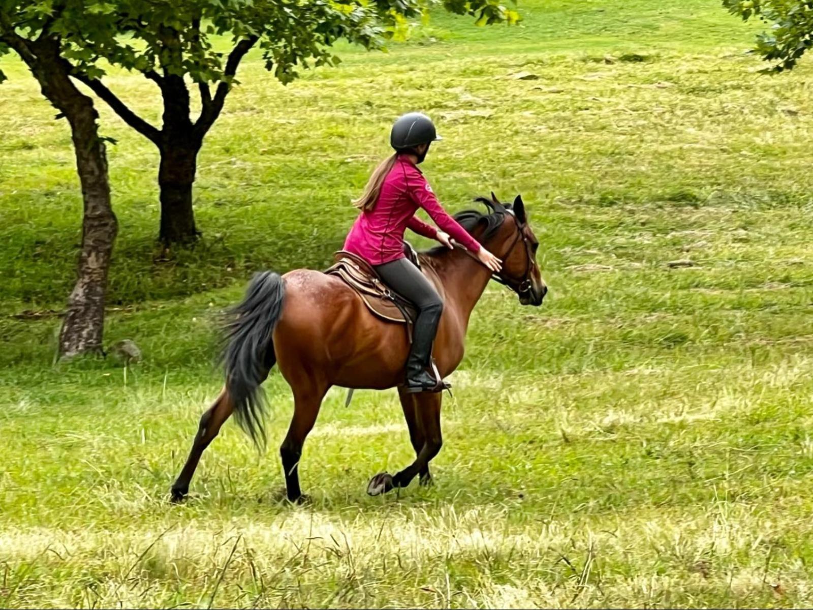 Stone Creek Mountain Lodge 德尔斯特鲁姆 外观 照片