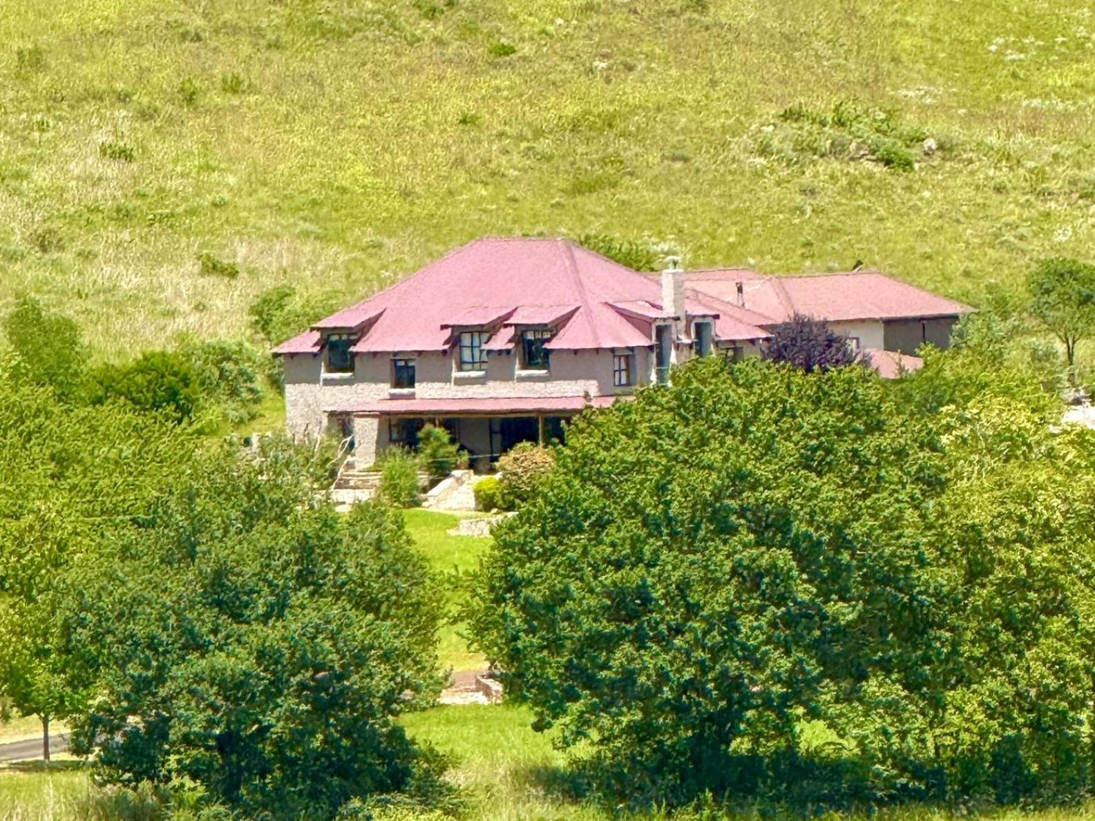 Stone Creek Mountain Lodge 德尔斯特鲁姆 外观 照片
